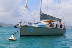 denebola-croisiere-sortie-mer-martinique-le-robert-voilier-palme-tuba-snorkeling-ecotourisme-bateau-8
